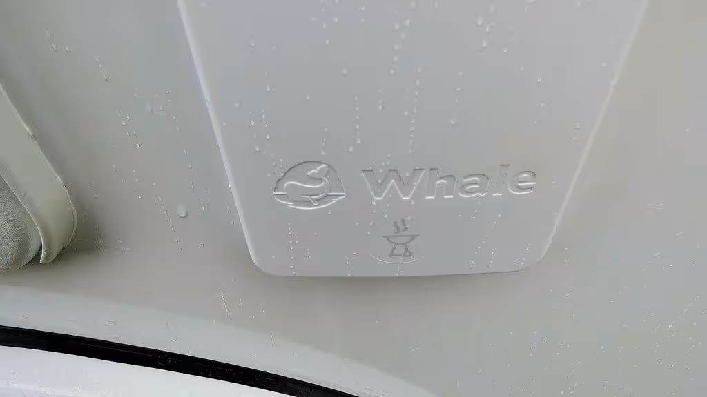 13002 13 0 124666