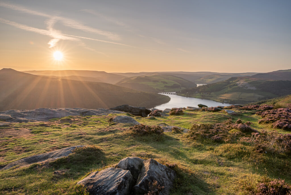 A sunset of green fields
