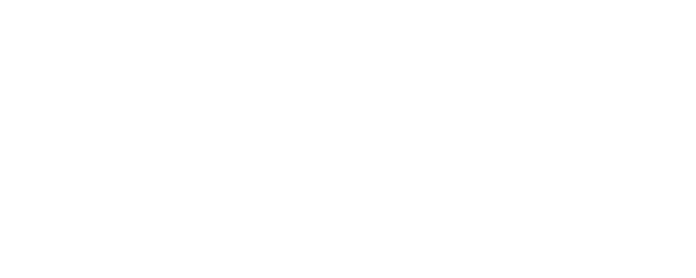 Bailey Logo